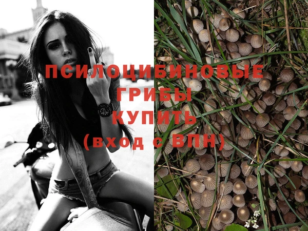 mix Корсаков