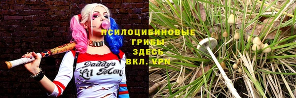 стаф Костерёво