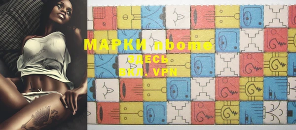 стафф Коряжма
