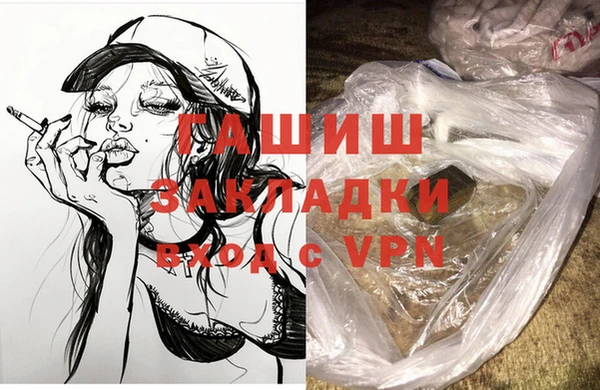 стафф Коряжма
