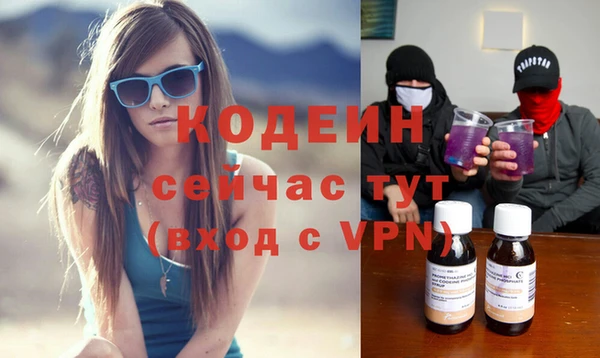 стафф Коряжма