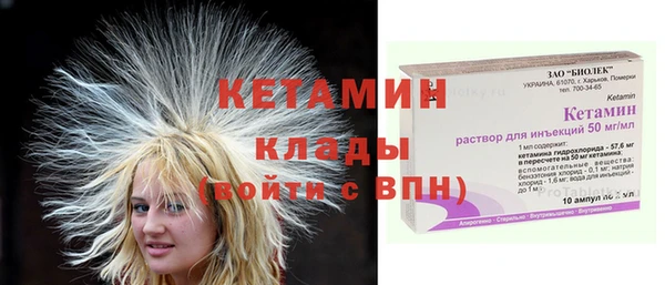 стафф Коряжма