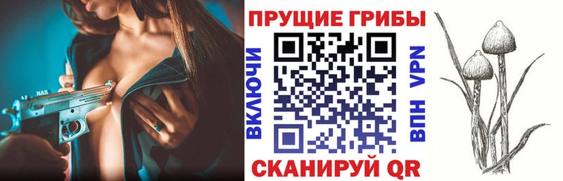 где купить   Реутов  Псилоцибиновые грибы MAGIC MUSHROOMS 
