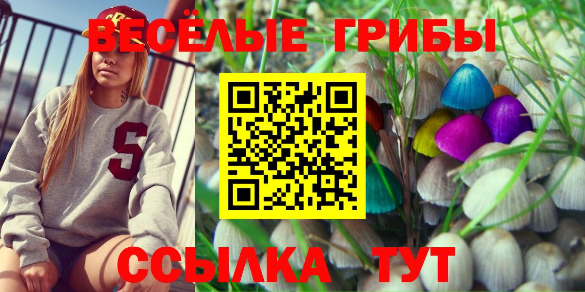 Галлюциногенные грибы мицелий Реутов
